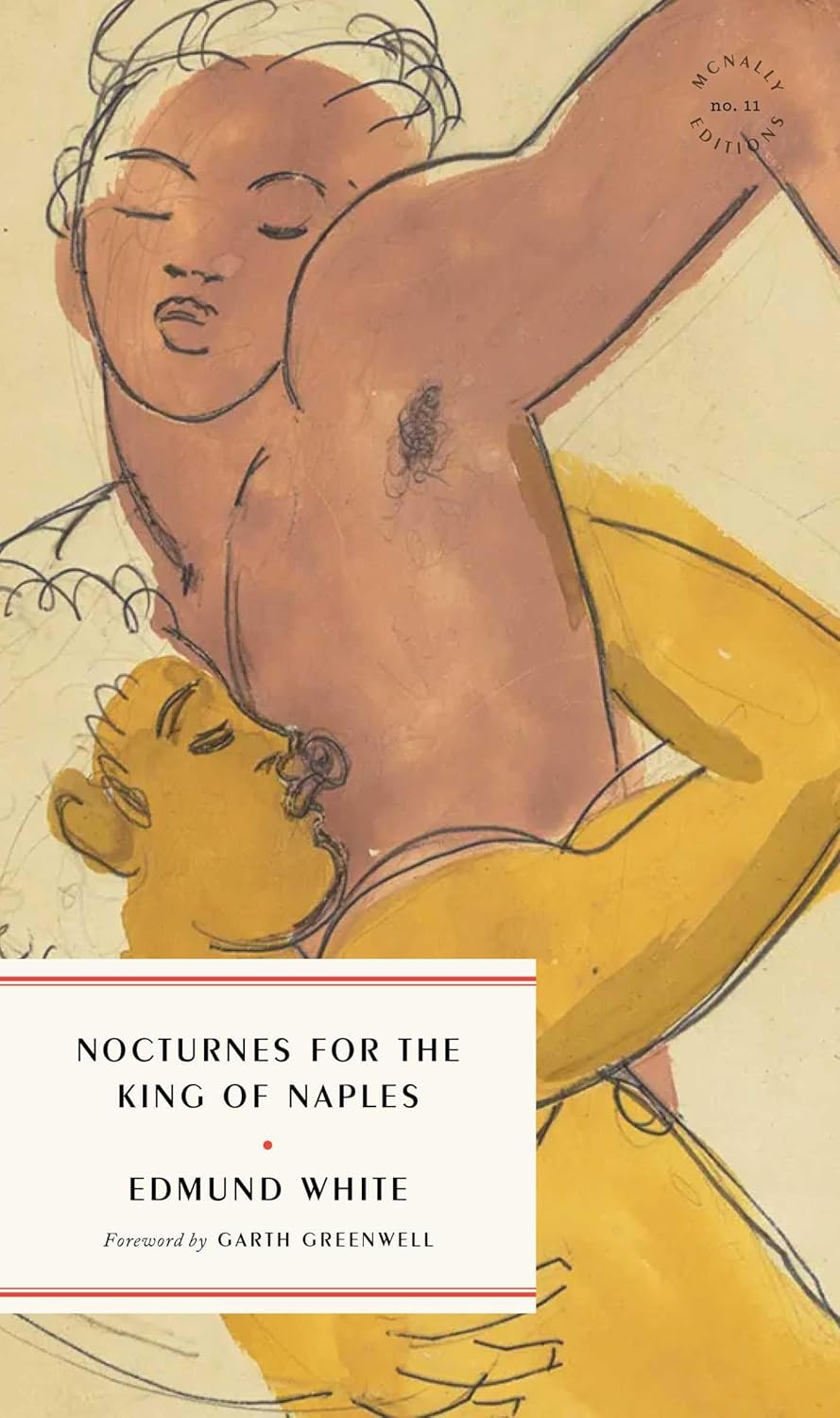 Cover image for Nocturnes for the King of Naples by Edmund White